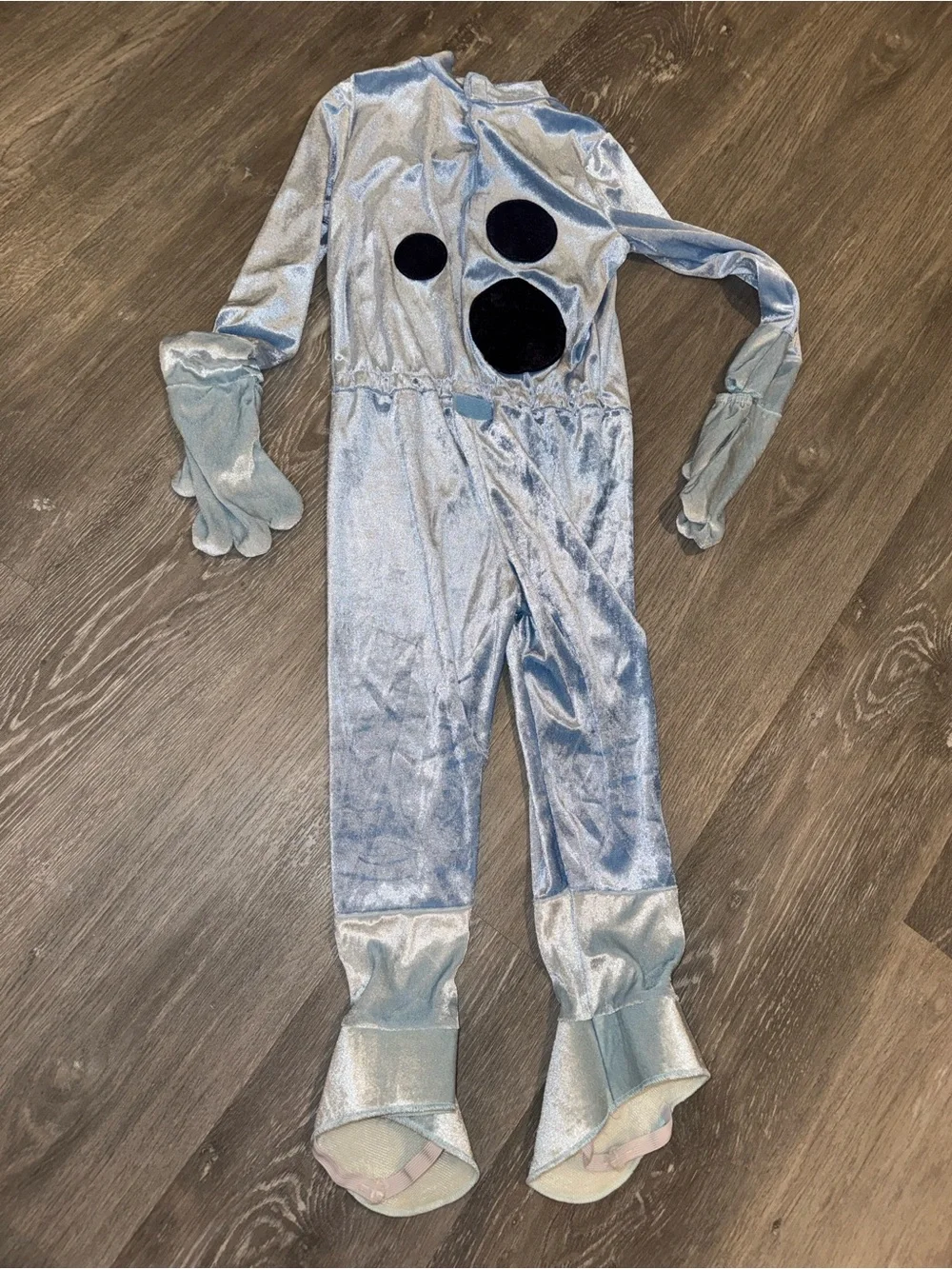3/4T Bluey costume